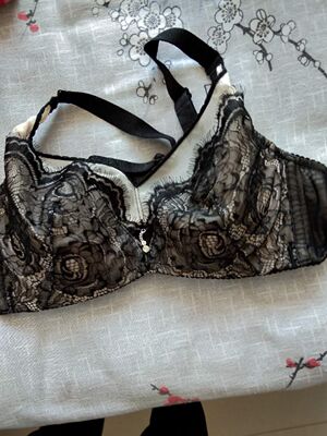 胸罩质量非常好，也很漂亮，型也特别好，正是我想要的！戴着也很舒服，是正品，跟我以前专卖店买的一样！价格特实惠！非常满意