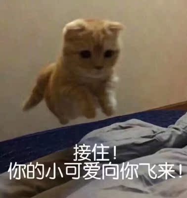 意外的舒服,下次会回购赞赞赞赞赞赞赞赞赞赞赞赞赞赞赞赞赞赞赞赞赞赞赞赞赞赞赞赞赞赞赞赞赞赞赞赞赞赞赞赞赞赞赞赞赞赞赞赞赞赞赞赞赞赞赞赞赞赞赞赞赞赞赞赞赞赞赞赞赞赞赞赞赞赞赞赞赞赞赞赞赞赞赞赞赞 意外的舒服,下次会回购赞赞赞赞赞赞赞赞赞赞赞赞赞赞赞赞赞赞赞赞赞赞赞赞赞赞赞赞赞赞赞赞赞赞赞赞赞赞赞赞赞赞赞赞赞赞赞赞赞赞赞赞赞赞赞赞赞赞赞赞赞赞赞赞赞赞赞赞赞赞赞赞赞赞赞赞赞赞赞赞赞赞赞赞赞