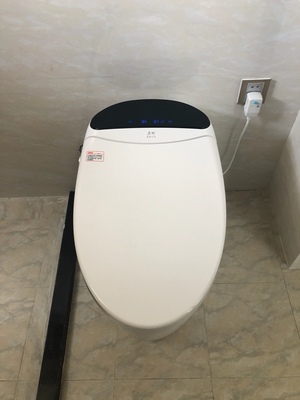 深度分享日本津上智能马桶怎么样,属于什么档次,哪生产的,值得买吗