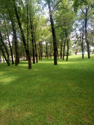 店主推荐的尺码合适   老妈穿上说很舒服  面料也很好  弹力大  还送了两个延伸扣  还会回购的   店主推荐的尺码合适   老妈穿上说很舒服  面料也很好  弹力大  还送了两个延伸扣  还会回购的   店主推荐的尺码合适   老妈穿上说很舒服  面料也很好  弹力大  还送了两个延伸扣  还会回购的   店主推荐的尺码合适   老妈穿上说很舒服  面料也很好  弹力大  还送了两个延伸扣  还会回购的   就是我没有拍照  后续补上吧  质量很好  包装严实  喜欢的朋友们可以放心买