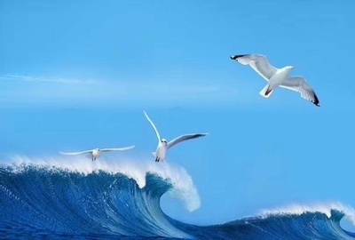 非常好的一款宝贝,自己一直在用,大爱款!补水、吸收效果非常好,价廉物美,淡淡的清香味道,适宜全家人使用。第一次发现店铺购物,是一次很好的购物体验,谢谢卖家,期待有喜欢的新款宝贝。发货速度可以说神速,而且快递非常用心,赞! 非常好的一款宝贝,自己一直在用,大爱款!补水、吸收效果非常好,价廉物美,淡淡的清香味道,适宜全家人使用。第一次发现店铺购物,是一次很好的购物体验,谢谢卖家,期待有喜欢的新款宝贝。发货速度可以说神速,而且快递非常用心,赞!