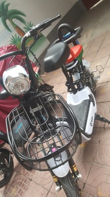 48V新款思帝诺电动车成人电动自行车男女性电瓶车小型锂电代步车