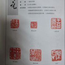 Custom calligrapher and artist seal Wang Jinyuan