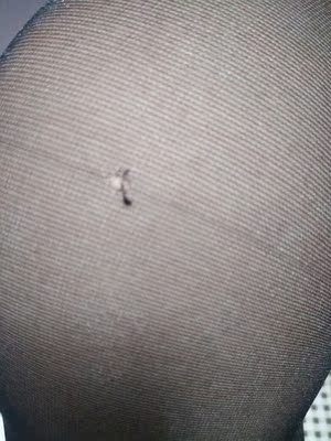 东西收到，质量却不行，都勾丝了，失望透顶，差评