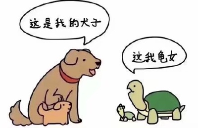 对应标题 对应标题