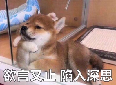 穿着美美哒！款式很喜欢！好好好！红红火火恍恍惚惚哈哈哈哈哈哈红红火火恍恍惚惚哈哈哈哈哈哈。