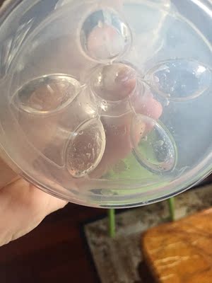 说说新安怡SCF303/01电动吸奶器怎么样,新安怡电动吸奶器质量真的很好吗?