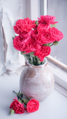 99买的收到了，这次是新材质的玫瑰杯，比以前的轻很多，支持夏娃，努力上进一直不断改善产品！棒棒哒！这次还发了顺丰，很快就收到了，送了收纳盒，半价抢到手，巨划算呀😊