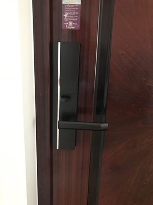 分析德施曼指纹锁怎么样,哪款型号好用?真的是假插芯吗?