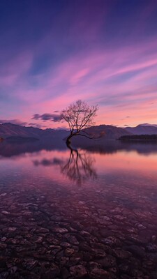 衣服是全棉的，质量很好，还会继续关注