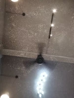 每次确定收货后，偶都会默认好评接着把星星填满，偶觉得这是个好习惯，每当看到:亲，您的评价对别的买家有很大帮助时，偶就发誓一定要做个好评专业户去好好帮助别的买家。马云大叔都说了，给好评的买家都是好买家哈。老板，临走之前再悄悄告诉你一个小秘密，偶已经把你的店铺收藏起来啦！如果别的买家因此而找不到，你可不要怪我哟&hellip;&hellip;。