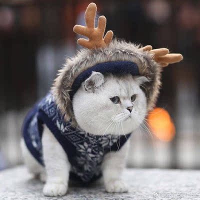 很好看的内内 穿上没有约束感～不过拿到的第一眼颜色和想象的有点不一样。所以大家买之前看看评论就好，就是评论里那个颜色，很漂酿～