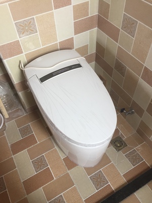 调查心得请问德希顿即热家用坐便器怎么样，好不好用？冲力大吗？