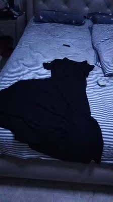 衣服质量不错，宝贝我穿着太大了.亲亲162.110斤m号整整大了一个号呀！