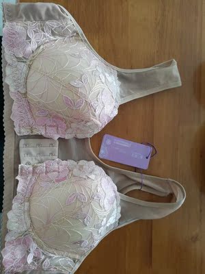 文胸的质量和做工都很好，客服推荐的尺码也比较合适，前扣设计很方便。唯一遗憾的是收副乳效果不太好，希望设计能改进。