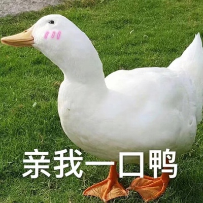 穿起来很舒适透气