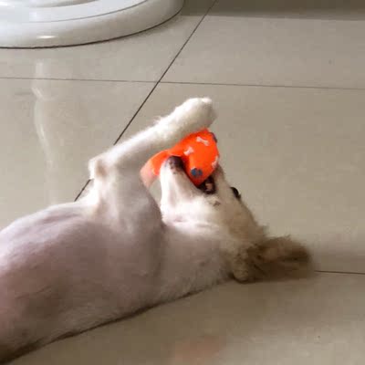 高腰的可以，穿着较舒服。