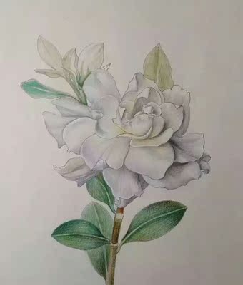 款式可以,侧面加高,穿一段时间再来追评 款式可以,侧面加高,穿一段时间再来追评