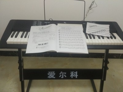 吐槽爱尔科电子琴怎么样，真相如何,看过才知