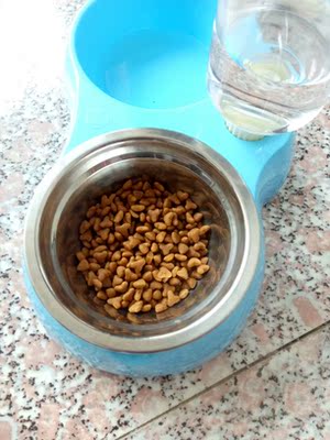 好主人猫粮在行业中排第几好主人猫粮好不好,如何选购,