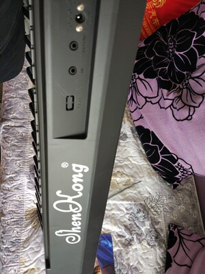 说说深港(乐器)电子琴质量怎么样,透过五个月使用看真相