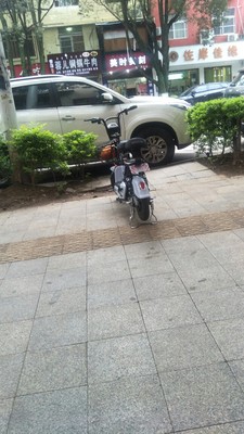 48V新款思帝诺电动车成人电动自行车男女性电瓶车小型锂电代步车