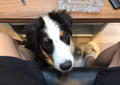 东西包装严实,送的包装泡沫也很好,晶莹剔透,每颗泡泡都很饱满。收到货后我捏了一半,剩下的一半收起来了,留着下一次再捏。每一颗泡泡都能发出清脆的响声,决无哑泡,这是一般的泡泡所不能媲美的。老板很热情,还送了数据线当小礼物,正好和我的苹果匹配。当我轻轻的把数据线插进我的iPhone,就能听到她那熟悉的娇喘,只有大小合适的正品插头才能做到这一点。我忍不住拔出来又反复抽插了几次,享受着这种声音带给我的快感。最后要说一说外包装,包装上写满了7dic,大概是比666还要再好一点的意思吧。走在路上拿着快递感觉整个人都要飞起了,路人看见都纷纷对我说:showmeyourdic! 东西包装严实,送的包装泡沫也很好,晶莹剔透,每颗泡泡都很饱满。收到货后我捏了一半,剩下的一半收起来了,留着下一次再捏。每一颗泡泡都能发出清脆的响声,决无哑泡,这是一般的泡泡所不能媲美的。老板很热情,还送了数据线当小礼物,正好和我的苹果匹配。当我轻轻的把数据线插进我的iPhone,就能听到她那熟悉的娇喘,只有大小合适的正品插头才能做到这一点。我忍不住拔出来又反复抽插了几次,享受着这种声音带给我的快感。最后要说一说外包装,包装上写满了7dic,大概是比666还要再好一点的意思吧。走在路上拿着快递感觉整个人都要飞起了,路人看见都纷纷对我说:showmeyourdic!