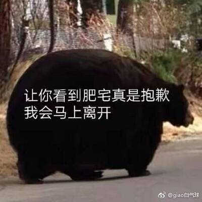 有点点勒 一一二三四五六七八九十 二一二三四五六七八九十 三一二三四五六七八九十 四一二三四五六七八九十 五一二三四五六七八九十 六一二三四五六七八九十 七一二三四五六七八九十 八一二三&hellip;看啥，我在凑字数呢。