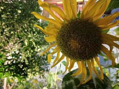 嗯，小朋友最喜欢的味道