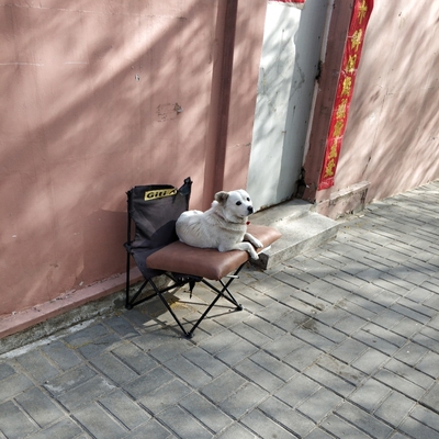 对应标题 对应标题
