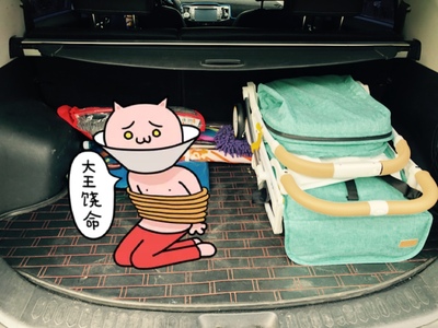 目前看来请教freekids婴儿推车怎么样，是哪里的牌子？好用吗？