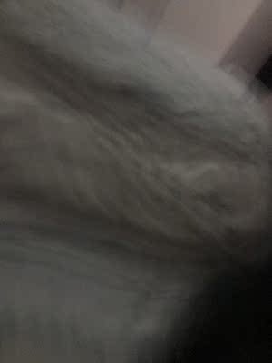 如何评价大家谈谈坚果W700和w730投影仪那个好，性价大对比，哪款能胜出！