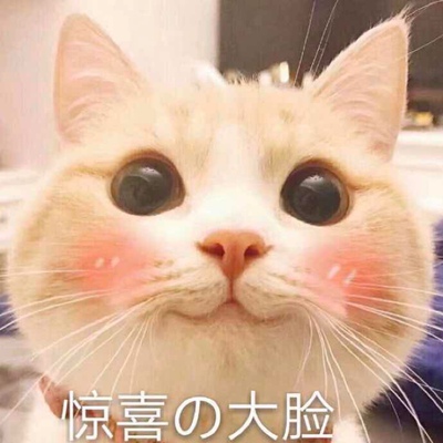 当时随便买的黑白两个，没想到这么好穿！穿大多数衣服都是合适的！喜欢！就是有的会凸点！