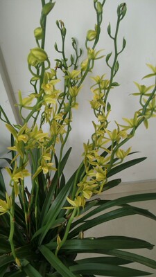 质量非常好，与卖家描述的完全一致，非常满意,真的很喜欢，完全超出期望值，发货速度非常快，包装非常仔细、严实，物流公司服务态度很好，运送速度很快，很满意的一次购物