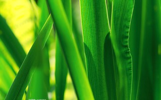 很好很好很好很好很好很好很好很好很好很好很好很好很好很好很好很好很好很好很好很好很好很好很好很好很好很好很好很好很好很好很好很好很好