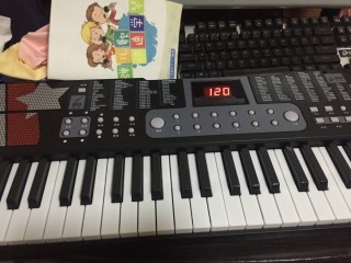 大家谈谈深港(乐器)电子琴怎么样,曝光了是真假,通过三个月使用看真相