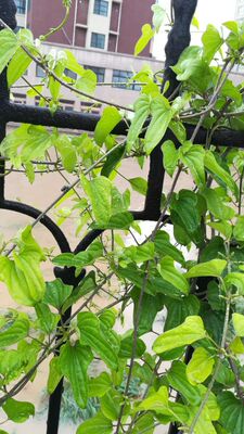 此用户没有填写评价。