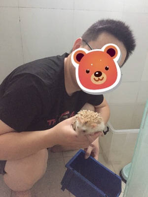 说说利仁空气炸锅质量怎么样，透过五个月使用看真相