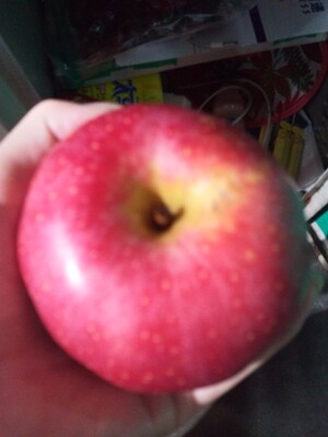 回购超级满意，    衣衣质量不错，洗过不掉色 不变形 穿起来还蛮舒服的。 店家服务很好，推荐的尺码很准，   有需要了还会再来的