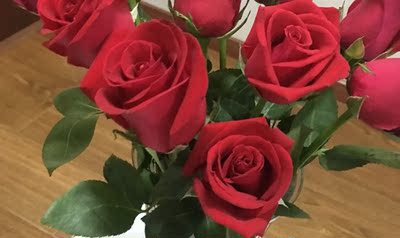 此用户没有填写评价。