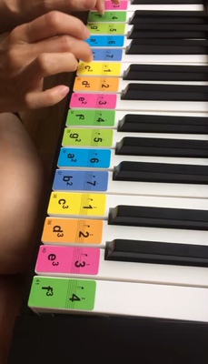 说说深港(乐器)电子琴质量怎么样,透过五个月使用看真相