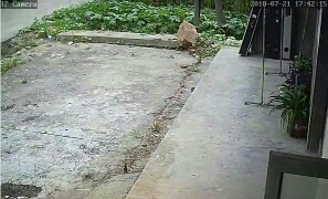 评测点评安尼威尔摄像头怎么样,三个月使用彻底后悔了,内幕曝光