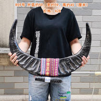 Black Buffalo Horn Pendulum with natural diagonal Merchants Town Residence Office Living room Home Handicraft Cow Year Feng Shui Gifts