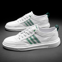 Mens shoes Summer breathable ice silk thin Canvas Shoes Men 2022 New unlacing suits White shoes Mens 100 hitch