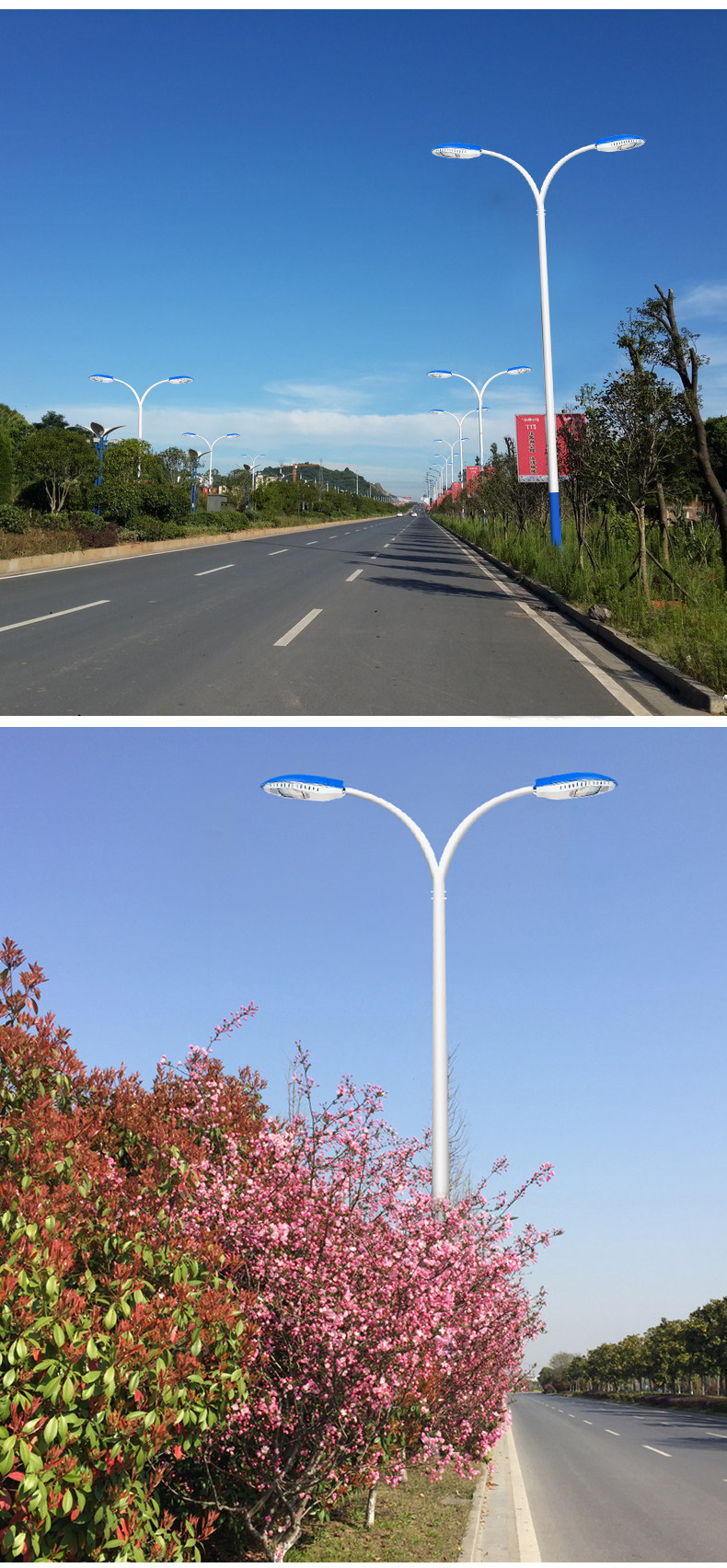 定制户外双头路灯杆子新农村led路灯6米8米自弯臂广场高杆高低凯佳