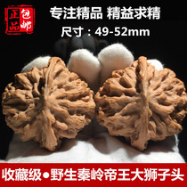 Wenwen walnut wild niche scarce Qinling Emperor lion head four building hemp walnut extra large collection 50mm