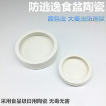 Reptile anti-escape food basin anti-escape crawling lizard guard mane lion crawling breadworm barley sterile ceramics