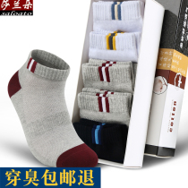 men's cotton socks mid calf socks student sports deodorant cotton men's mid waist autumn earth