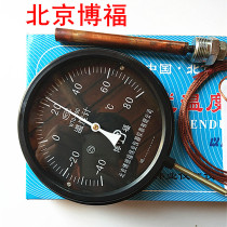 WTQ-280 Pressure Thermometer Boiler Pointer Thermometer Industrial Mechanical Thermometer with Probe