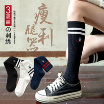 Socks womens autumn and winter warm Korean version of college style calf socks Japanese sports black high tube socks cute embroidered stockings